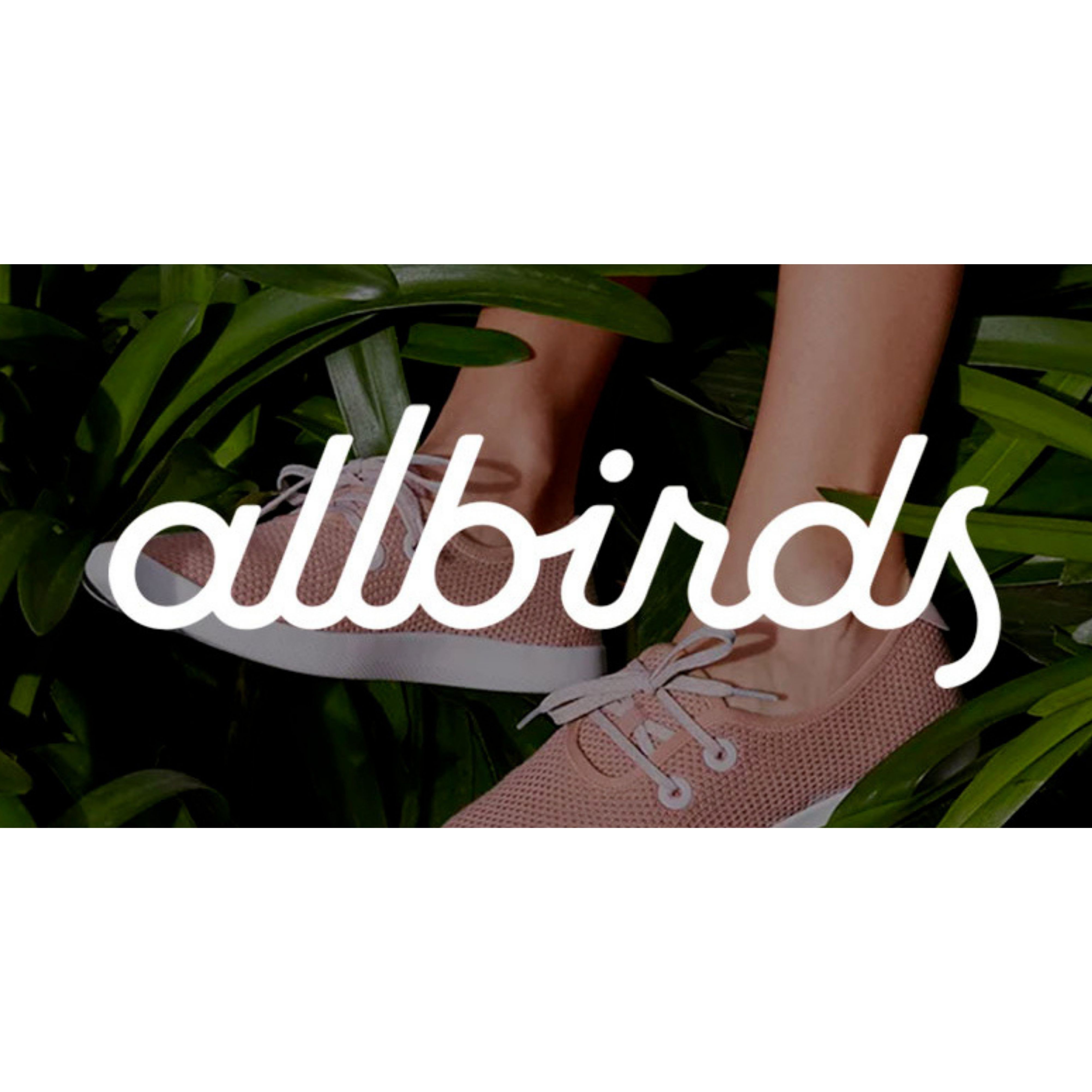 Allbirds