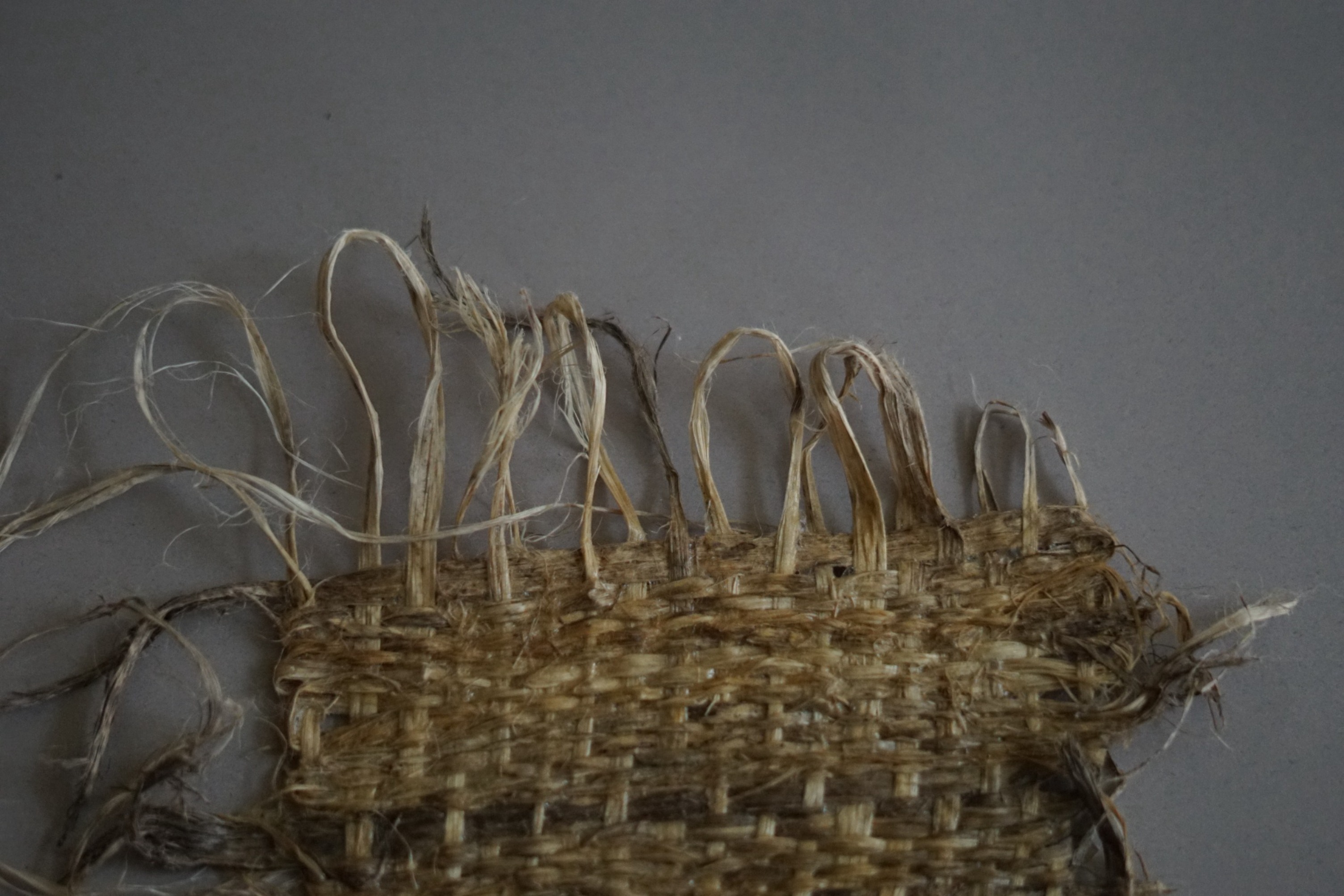 Prepájame pestovateľov, spracovateľov a výrobcov konopných materiálov v krajinách V4 a Nemecku, s cieľom vytvoriť udržat